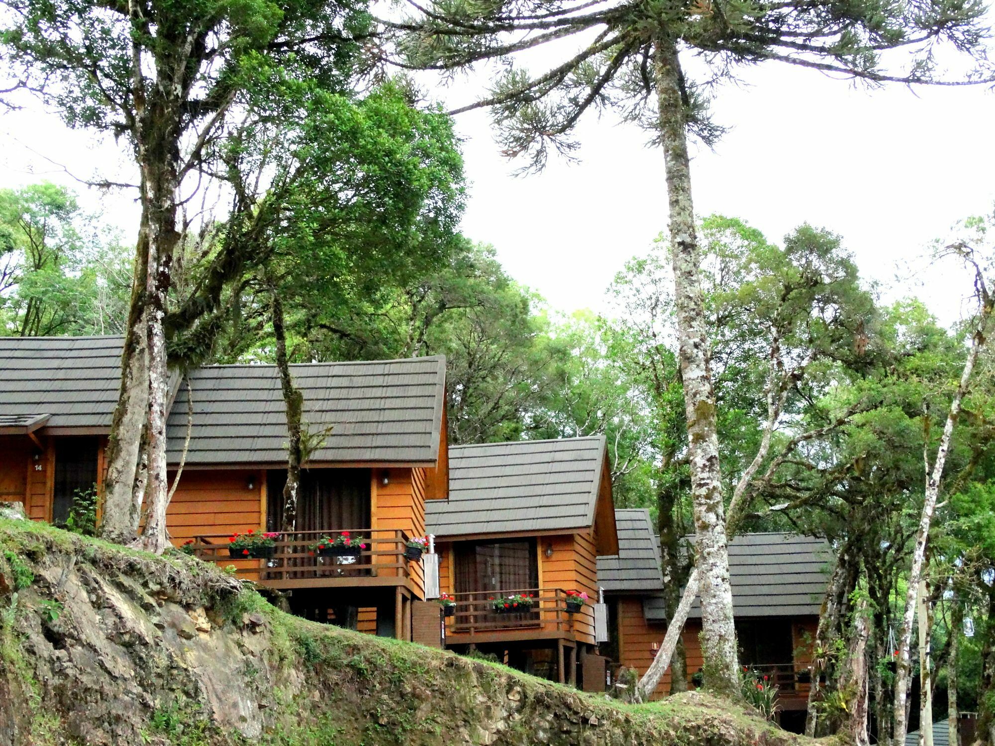 Pousada Chales Da Montanha Gramado Eksteriør bilde